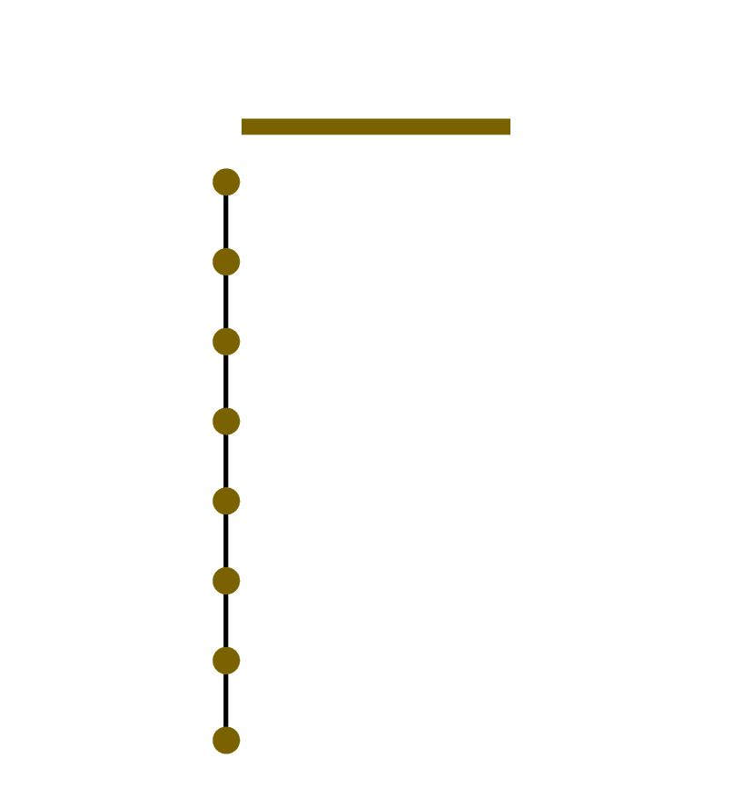 program